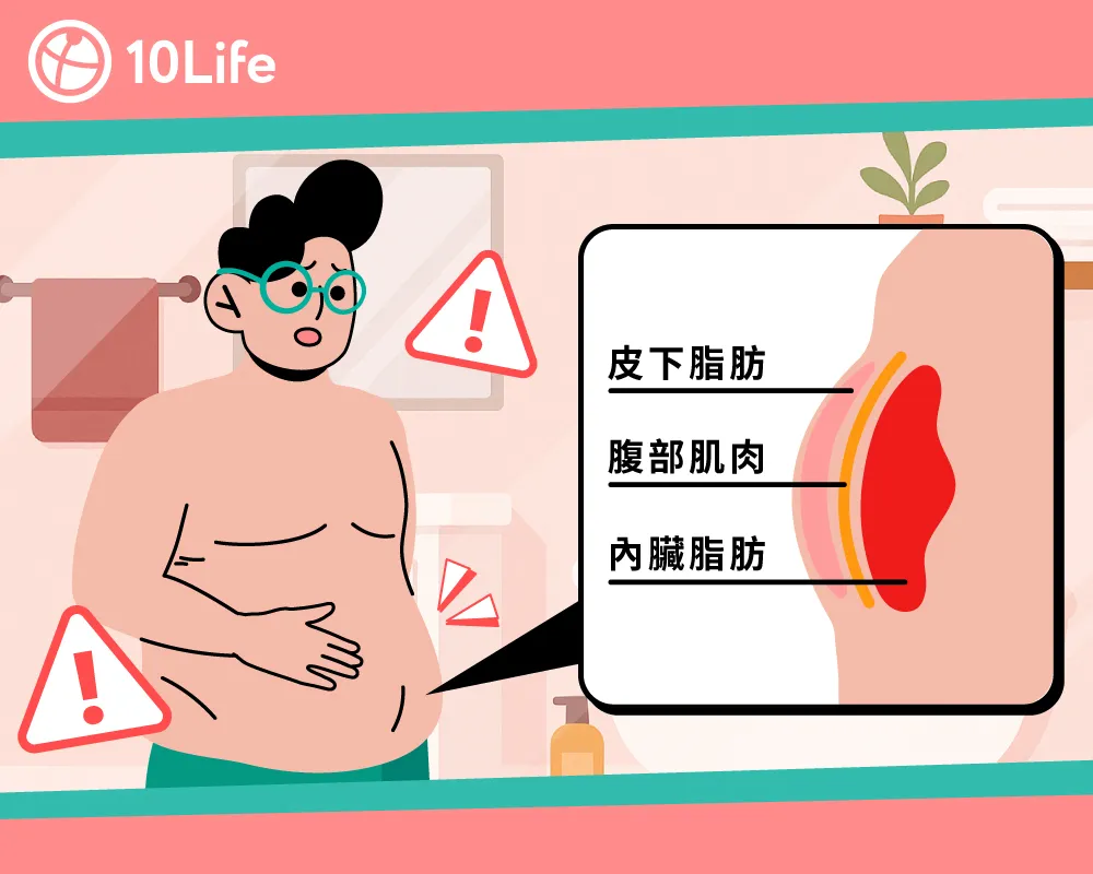 內臟脂肪