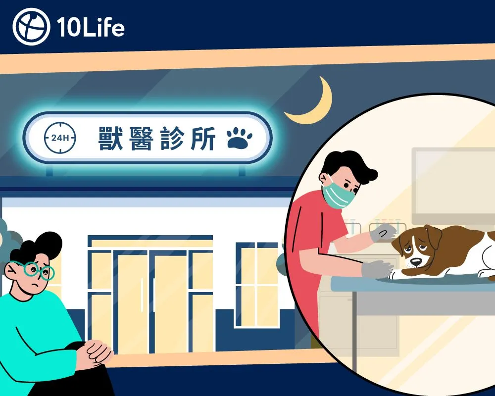 愛寵夜間突然發病，前往24小時獸醫診所檢查