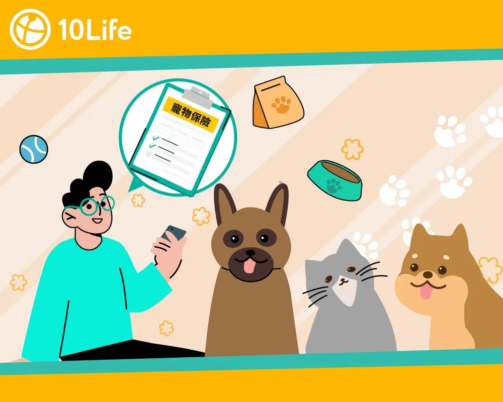 香港寵物保險比較2023 保障、保費全披露 | 10Life